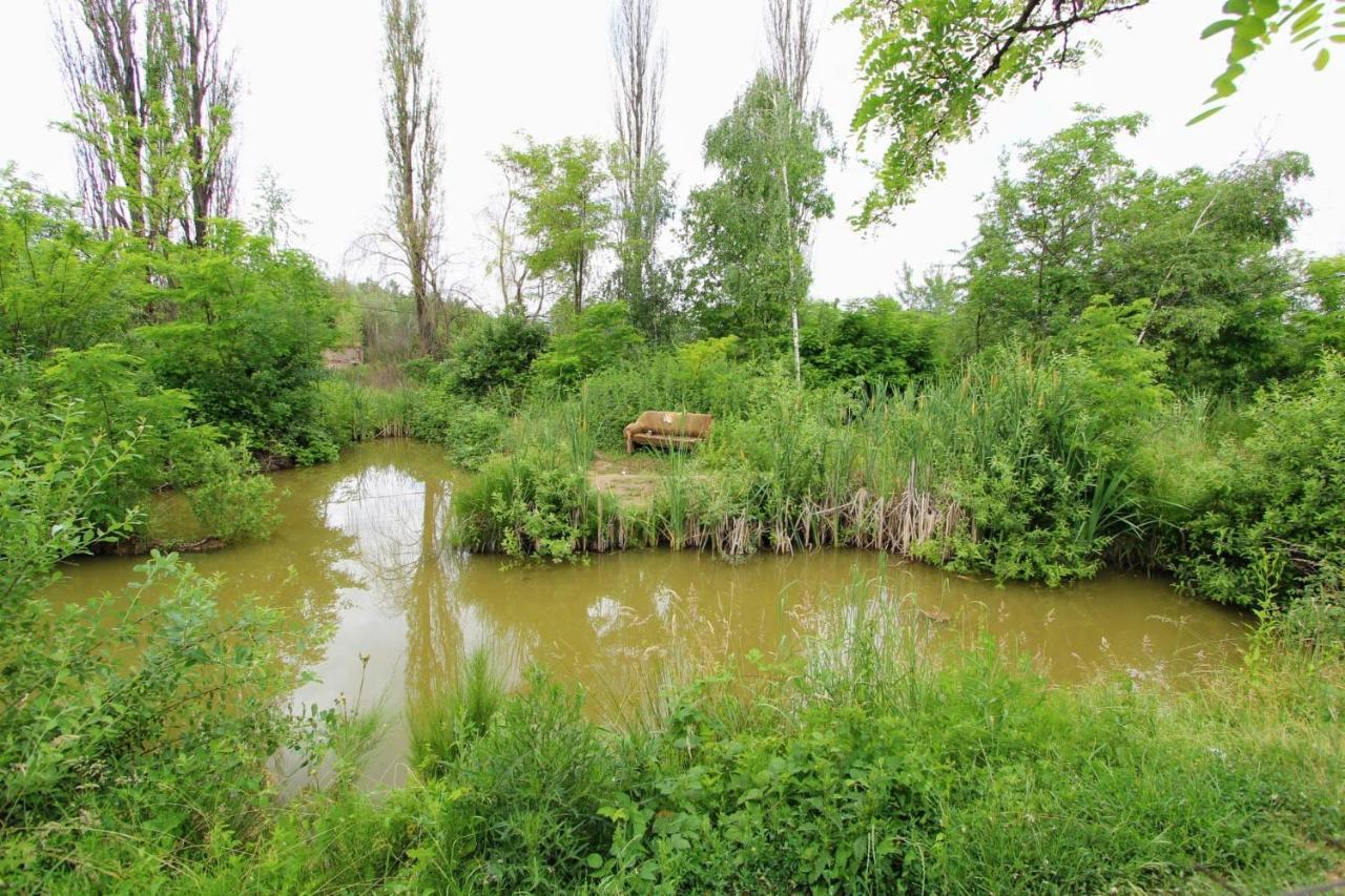 سولوتفينو Фазенда "Змерега" المظهر الخارجي الصورة